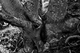 Against the Elements 44